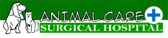 Animal Care & Surgical Hospital